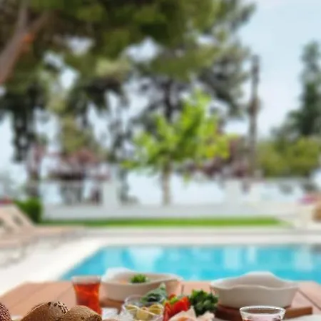 Hotel No 44