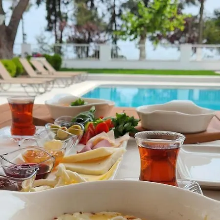 No 44 * Darıca